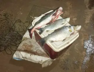 PMA prende homem que pescava com equipamento ilegal em Rio Brilhante
